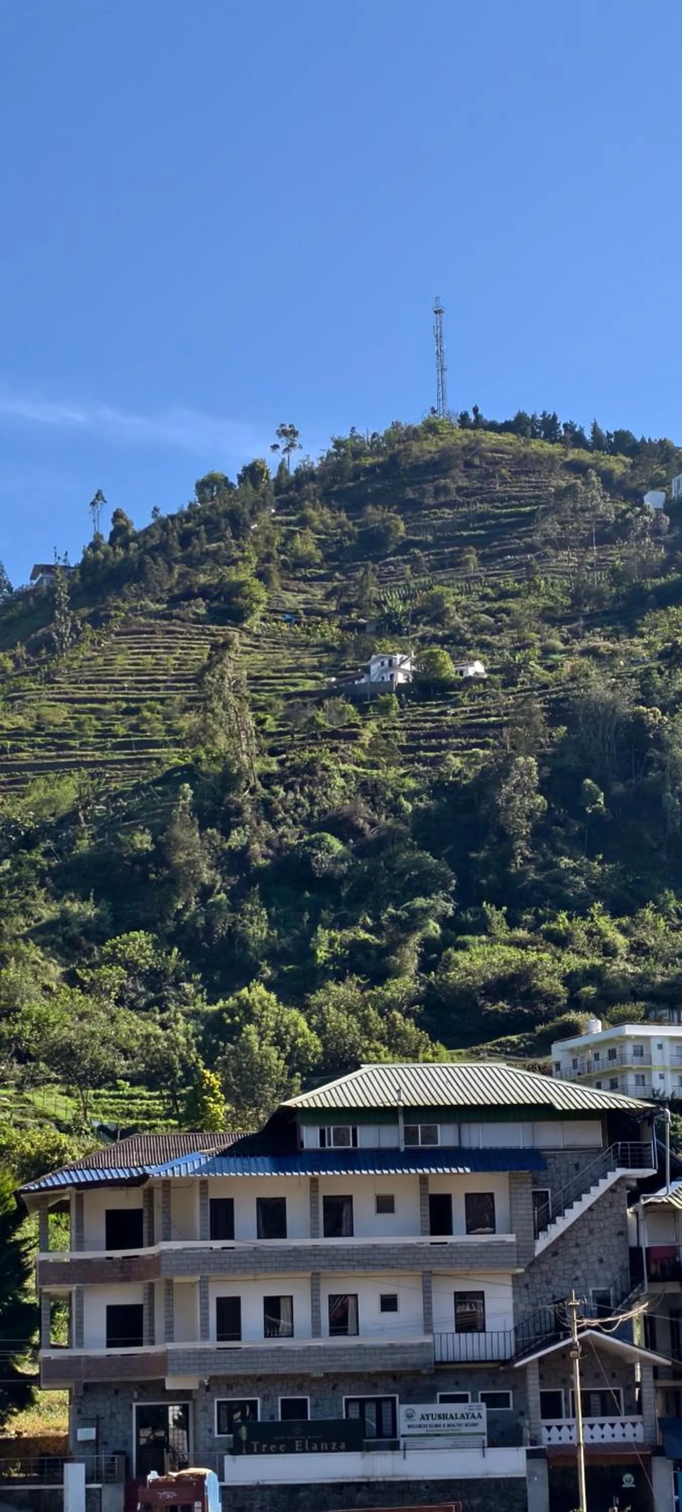 Tree Elanza, Unit of Santhi Ayurvedic Resort