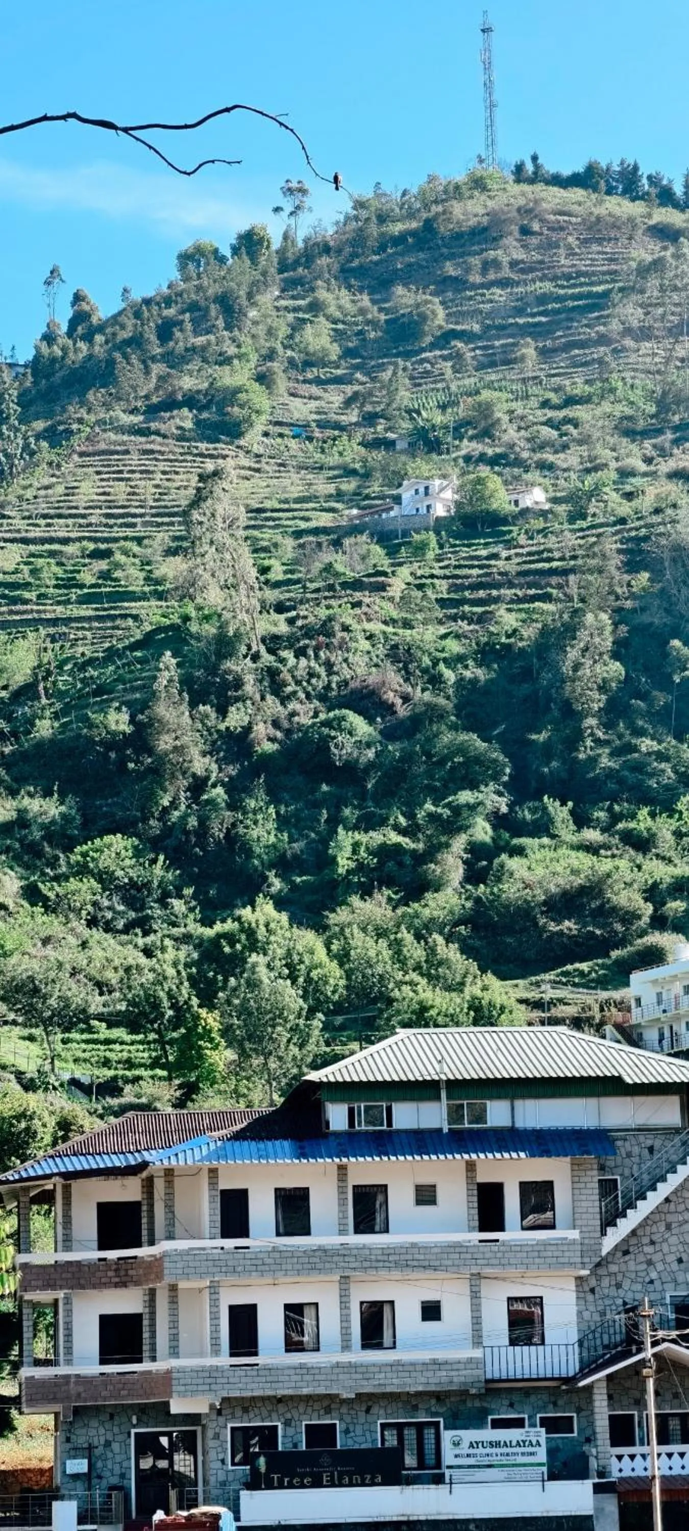 Tree Elanza, Unit of Santhi Ayurvedic Resort