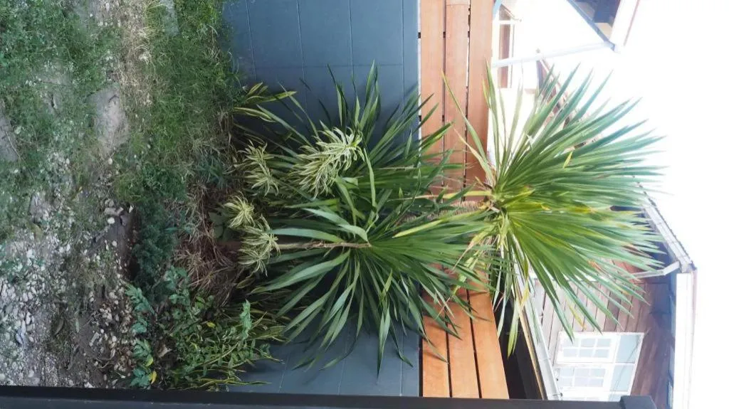 Maximize Brand New Hostel Udonthani