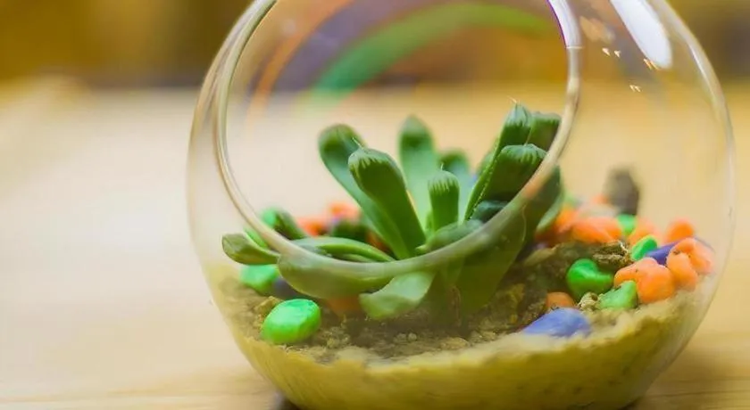 Gtel Rock City Qingdao Hotel