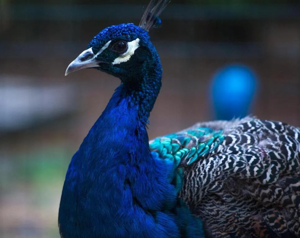 Hainan Yatai Hot Spring Hotel