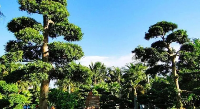 Hainan Yatai Hot Spring Hotel