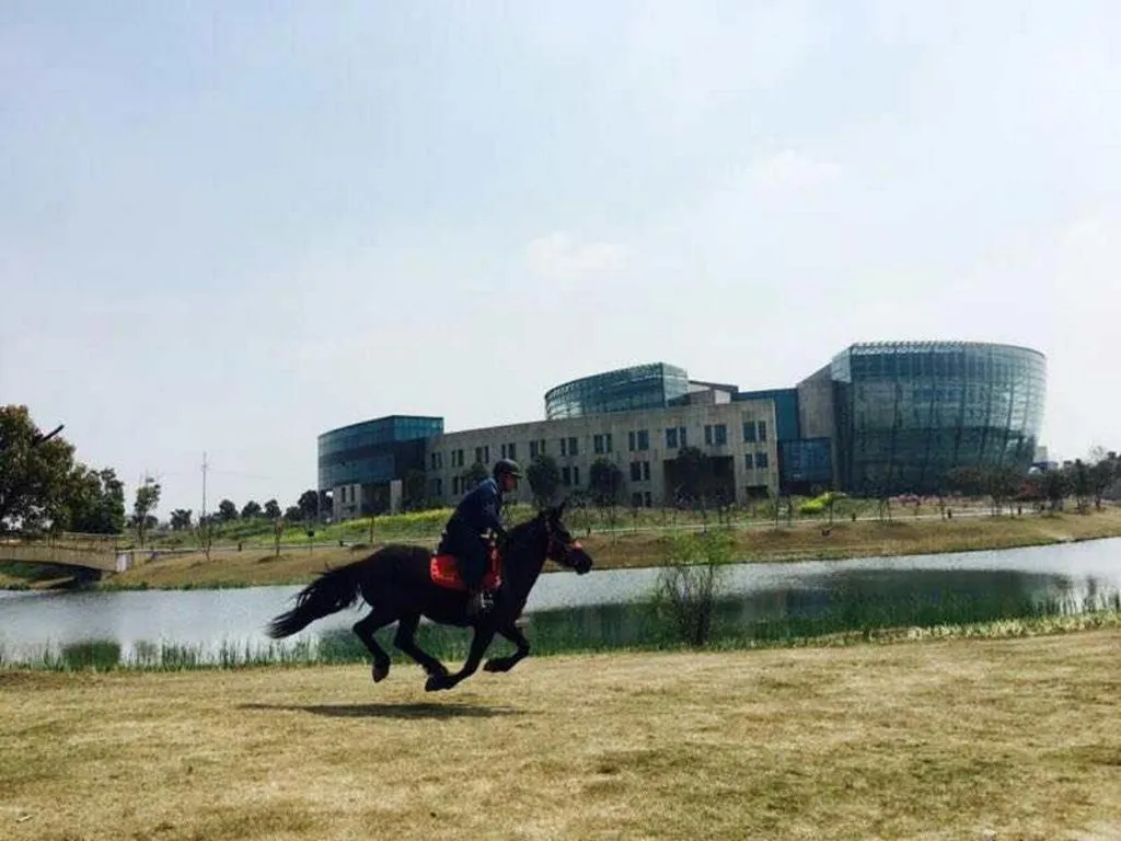 Mingdu Ziwei Garden Hotel