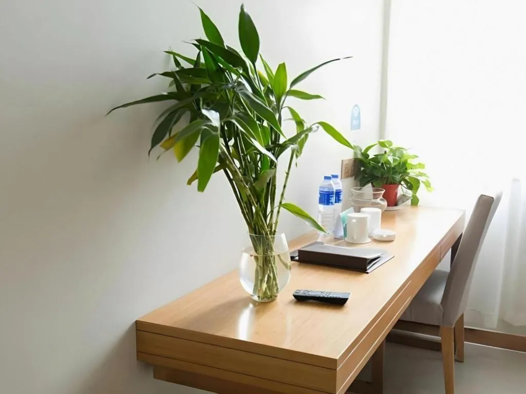 GreenTree Inn Maanshan Hanshan District Jiuwu Square Hotel