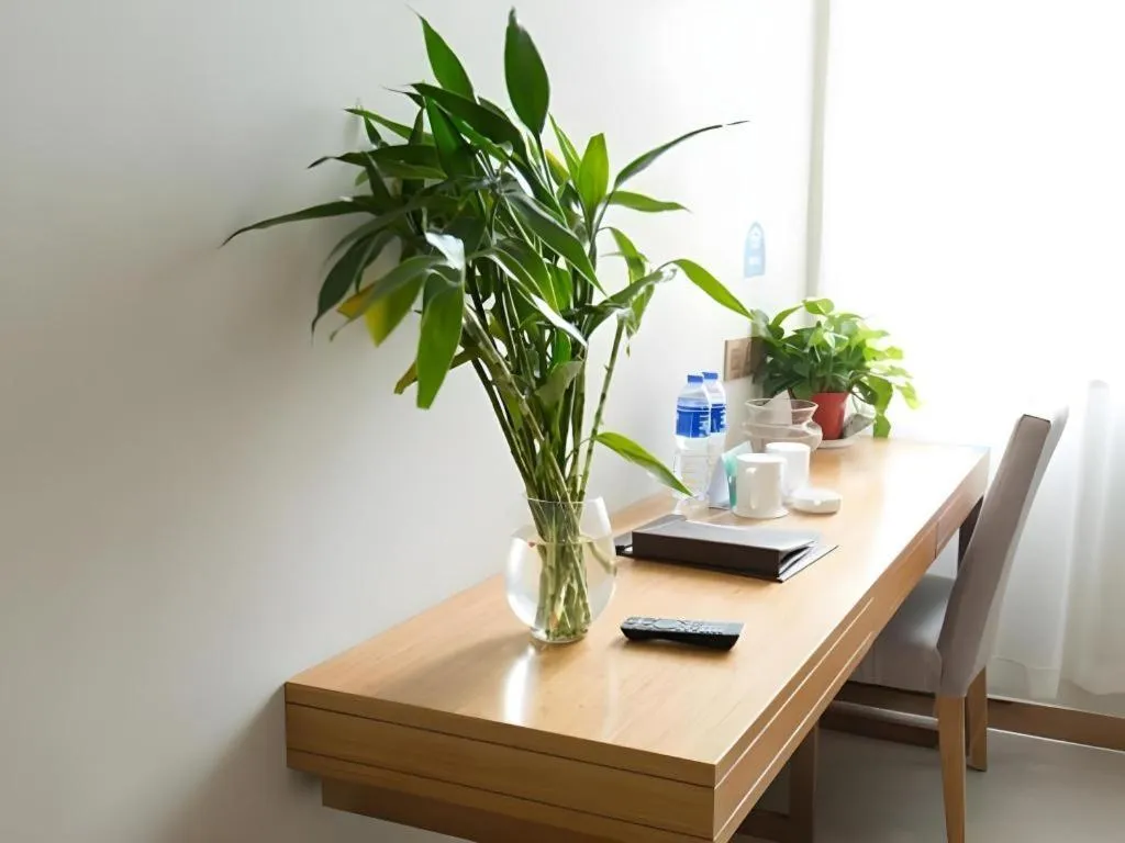 GreenTree Inn Maanshan Hanshan District Jiuwu Square Hotel