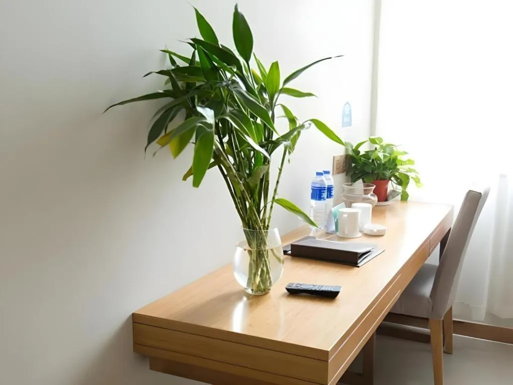 GreenTree Inn Maanshan Hanshan District Jiuwu Square Hotel