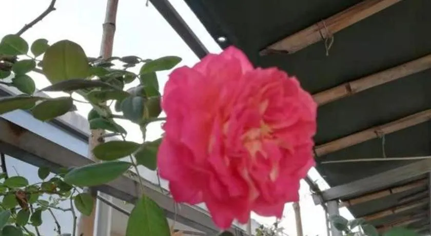 Kaibin International Hotel Jingdezhen