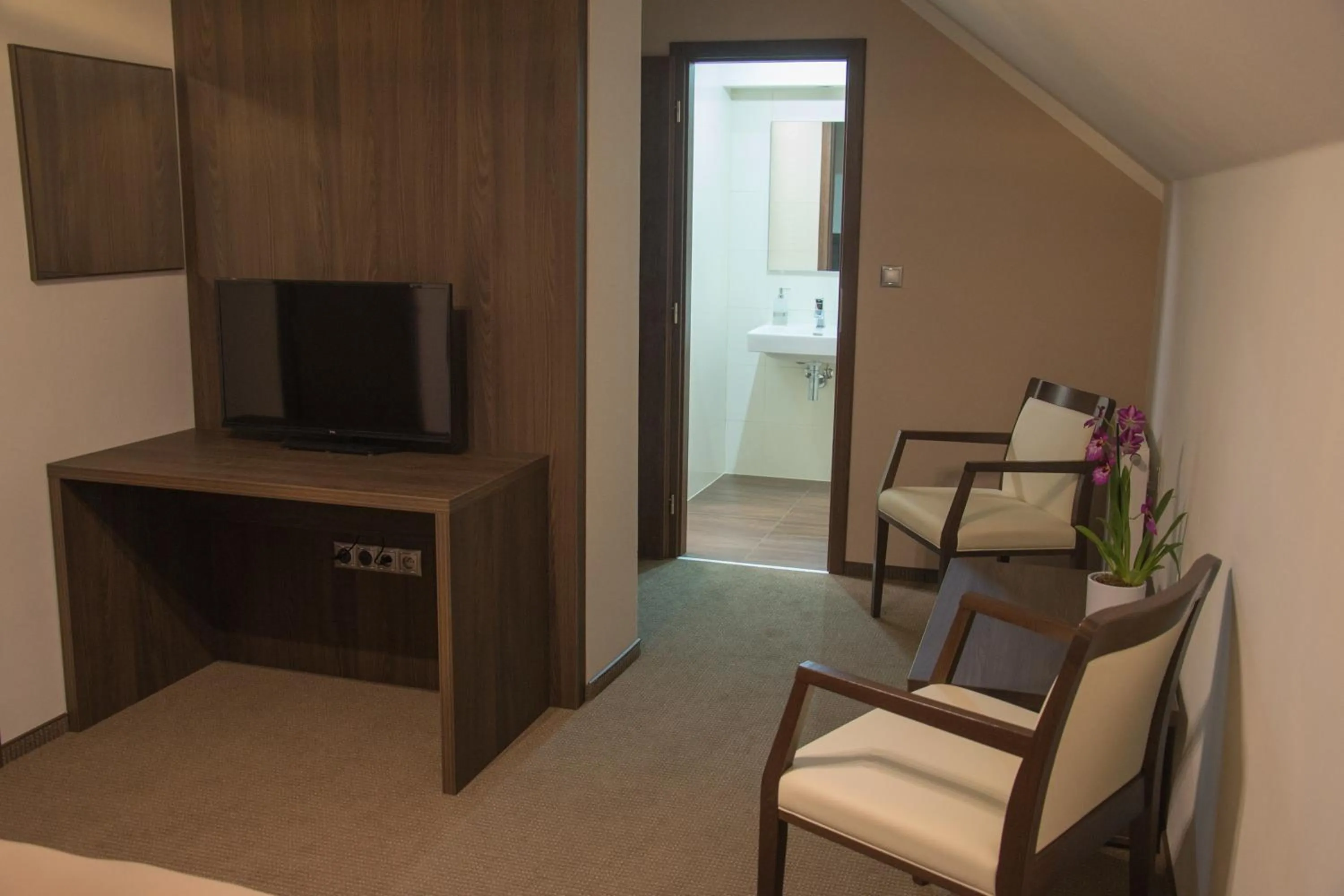 Single Room - single occupancy in Restaurace a Penzion U Klásků