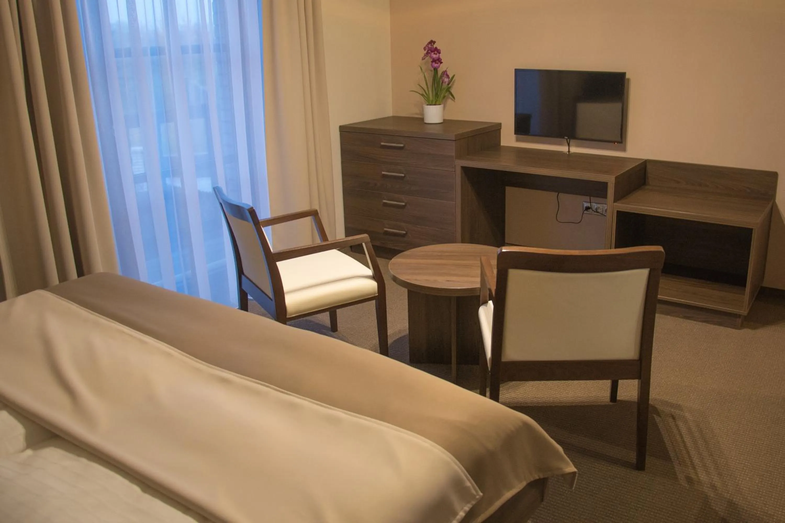 Standard Double Room - single occupancy in Restaurace a Penzion U Klásků