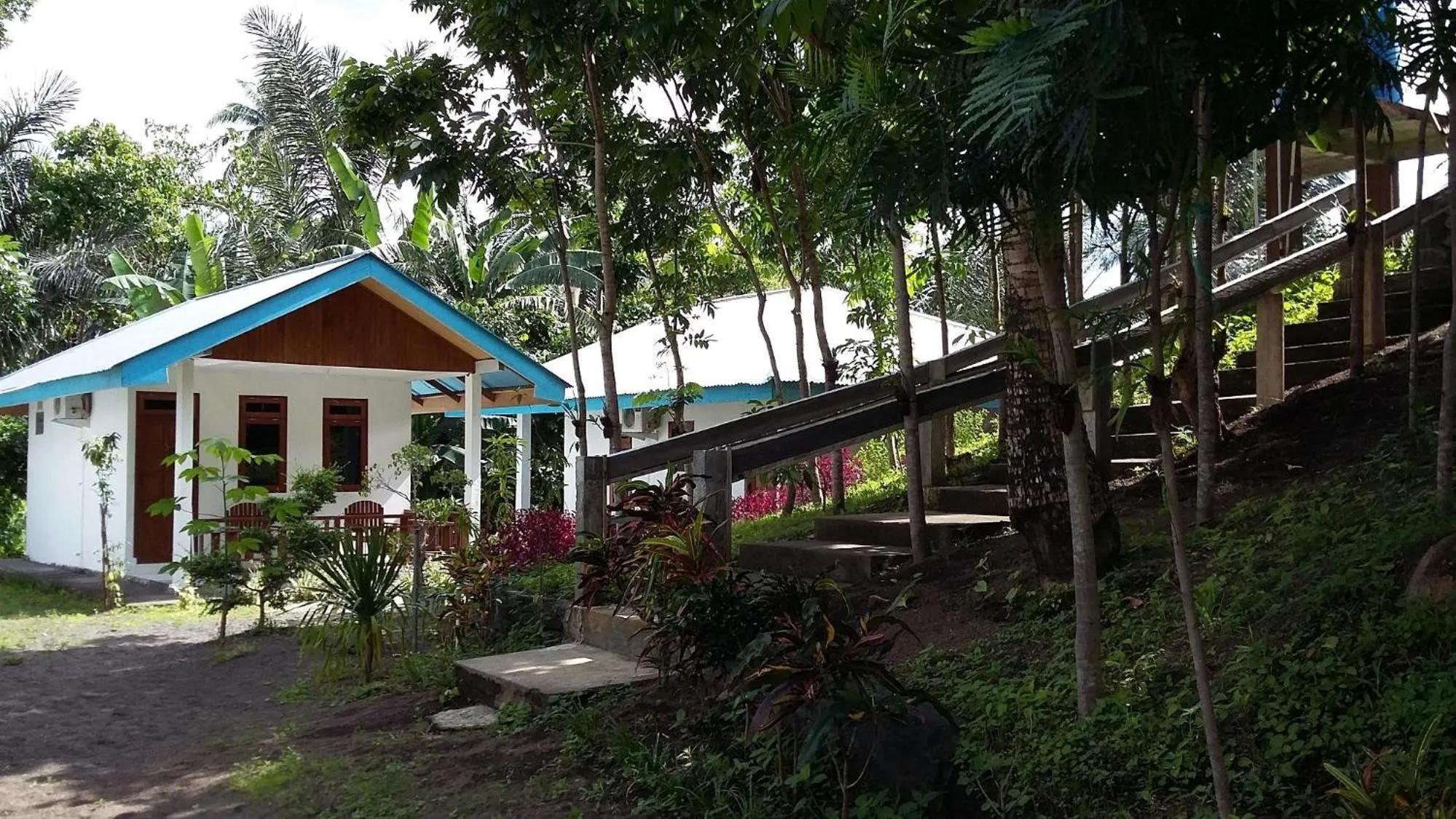 Property building in Tangkoko Macaca