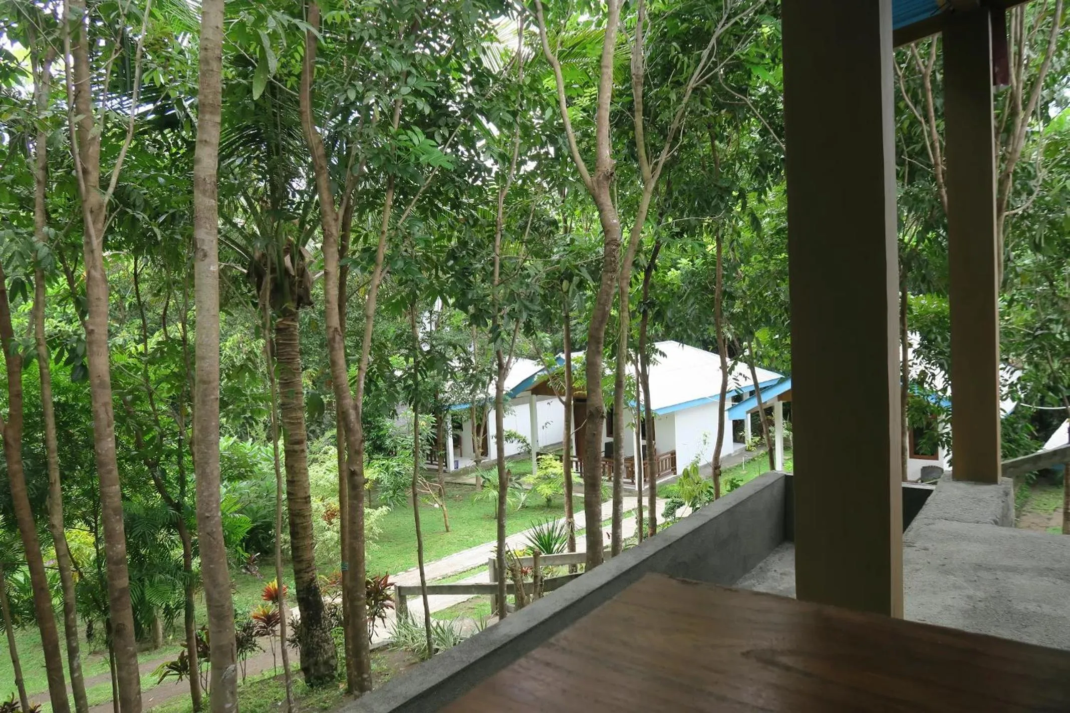 Property building in Tangkoko Macaca