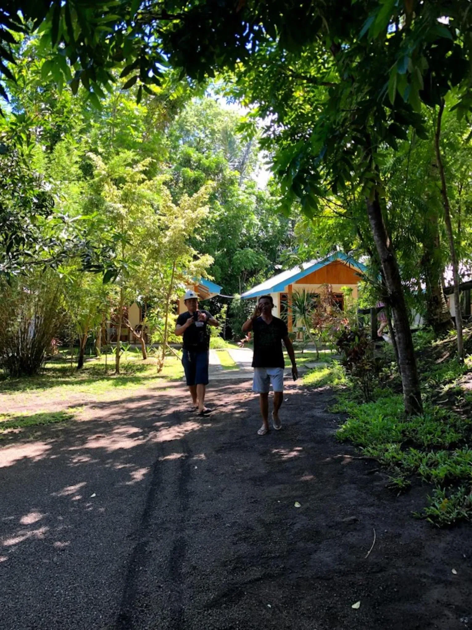 Day in Tangkoko Macaca