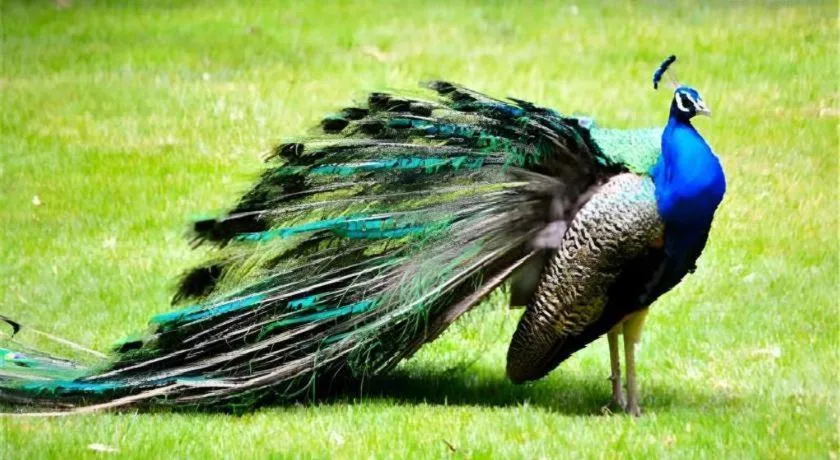 Dongguan MCB Lake Hotel