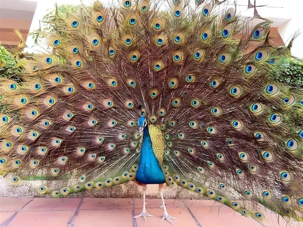 Dongguan MCB Lake Hotel