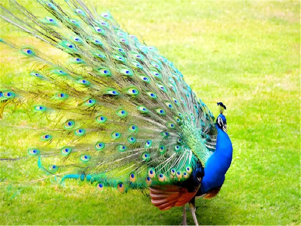 Dongguan MCB Lake Hotel