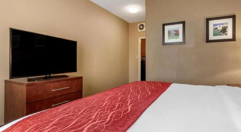 Bed in Comfort Inn DFW Airport North