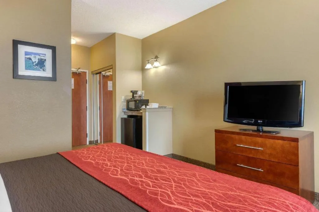 Bed in Comfort Inn DFW Airport North