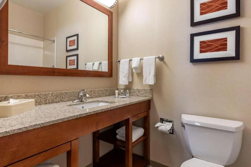 Comfort Inn DFW Airport North