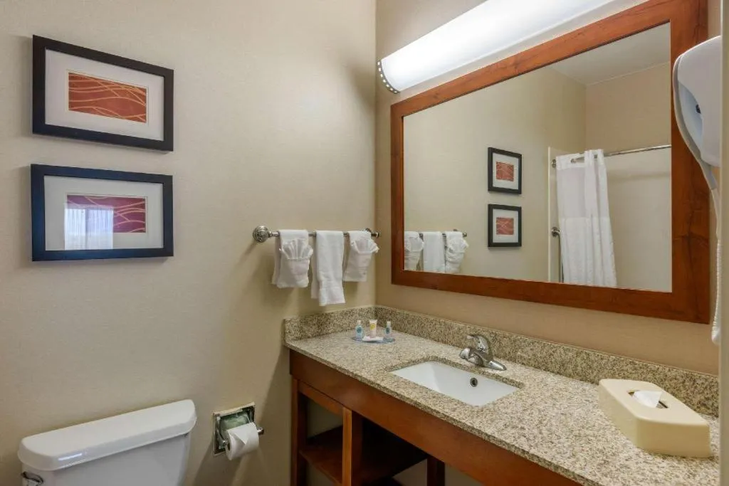 Comfort Inn DFW Airport North