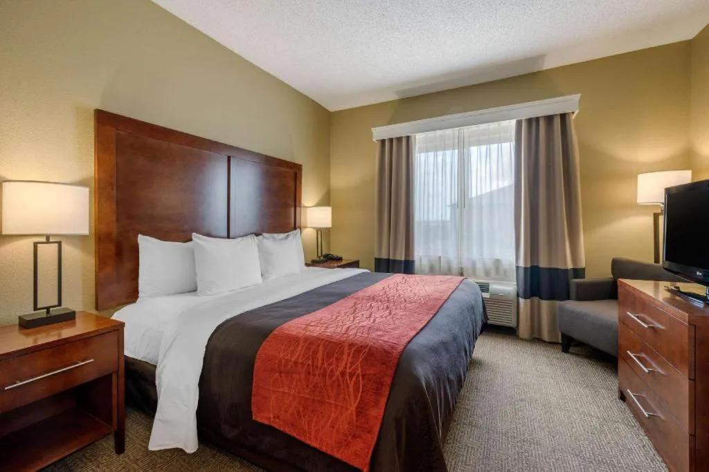 Bed in Comfort Inn DFW Airport North