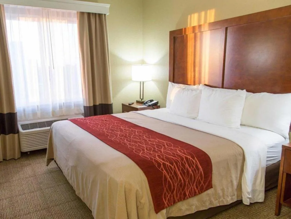 Bed in Comfort Inn DFW Airport North