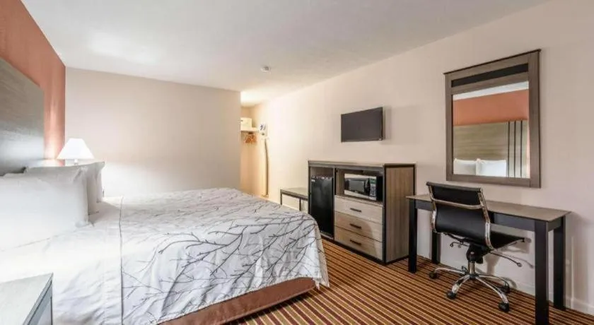 Bed in Americas Best Value Inn Heflin