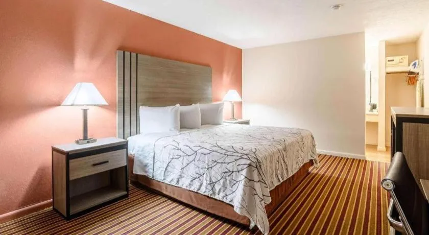 Bed in Americas Best Value Inn Heflin