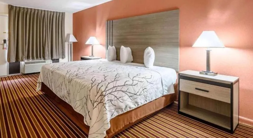 Bed in Americas Best Value Inn Heflin