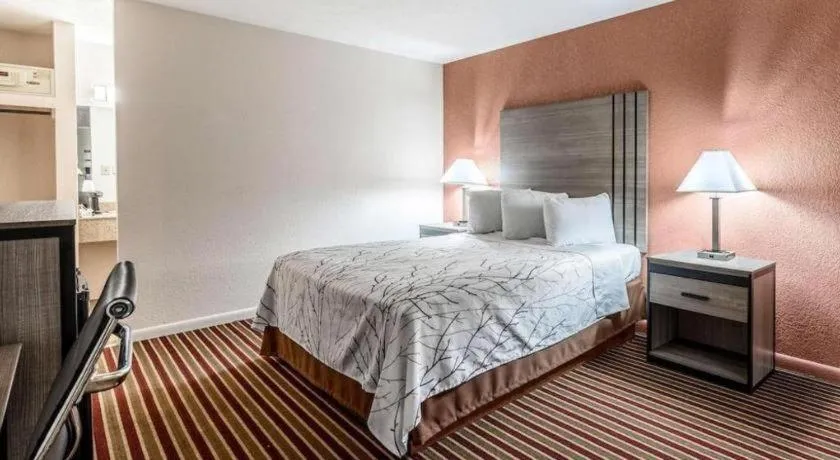 Bed in Americas Best Value Inn Heflin