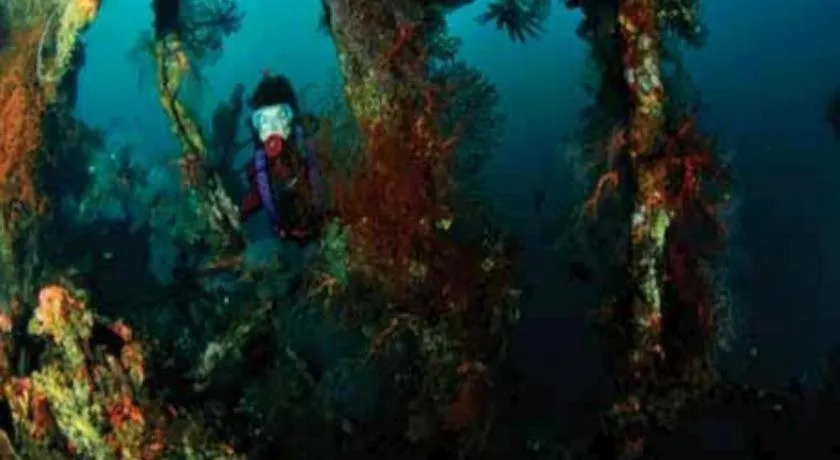 Tulamben Wreck Divers Resort & Restaurant