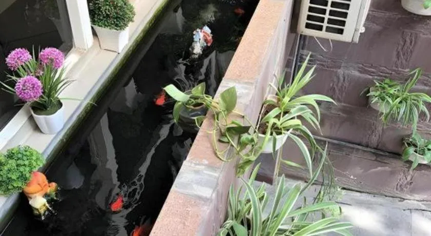 Dom's Residence & Hotel Hanoi