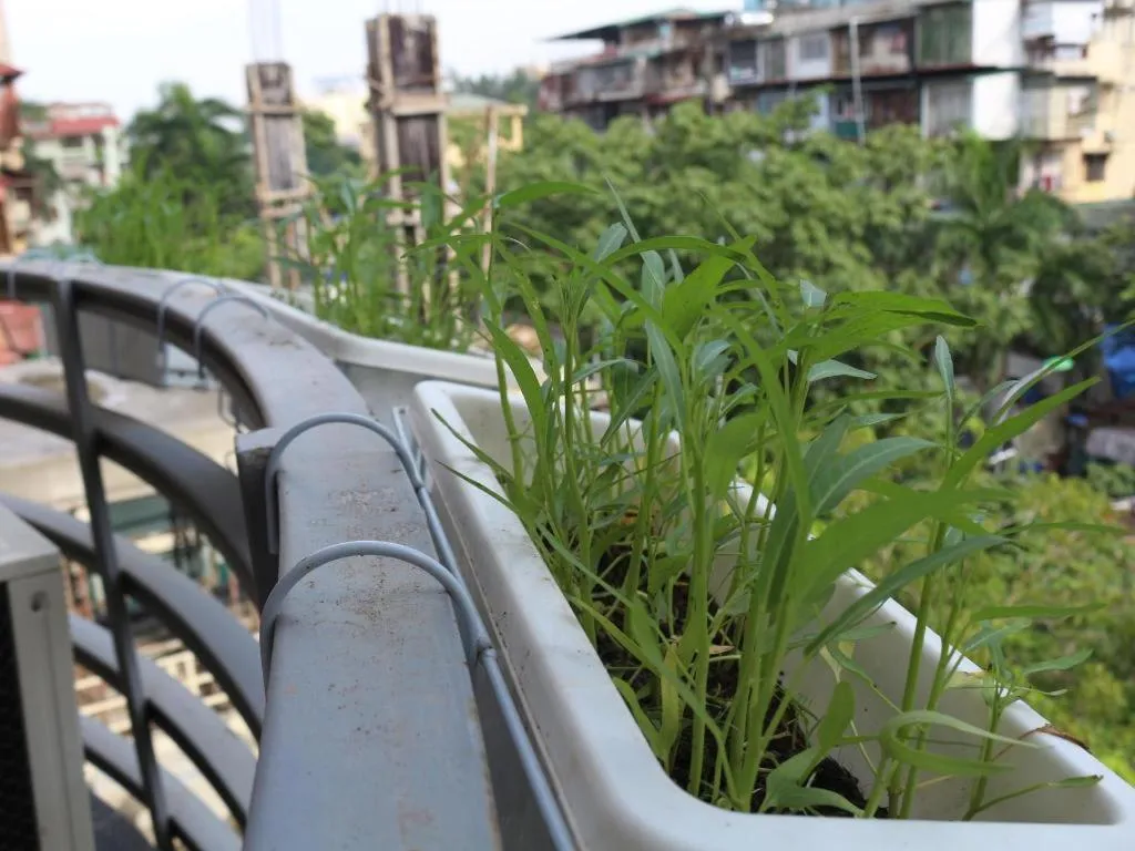 Dom's Residence & Hotel Hanoi