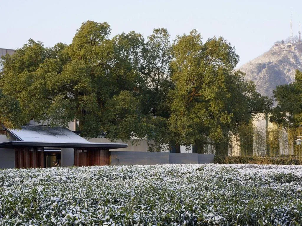 Pins De La Brume Hotel