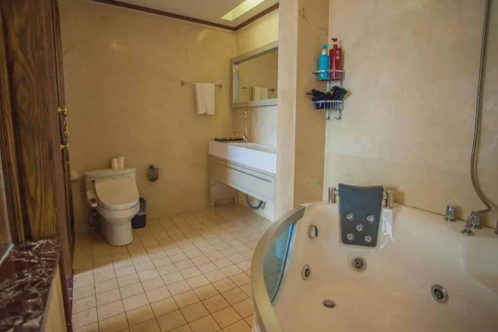 Anshan Camilla Business Hotel