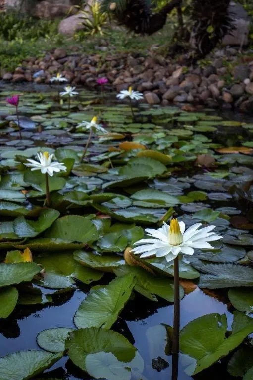 Nanshan Leisure Villas