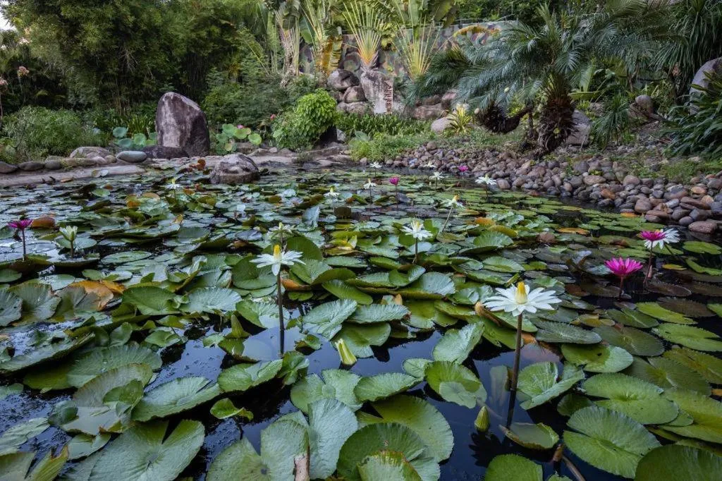 Nanshan Leisure Villas
