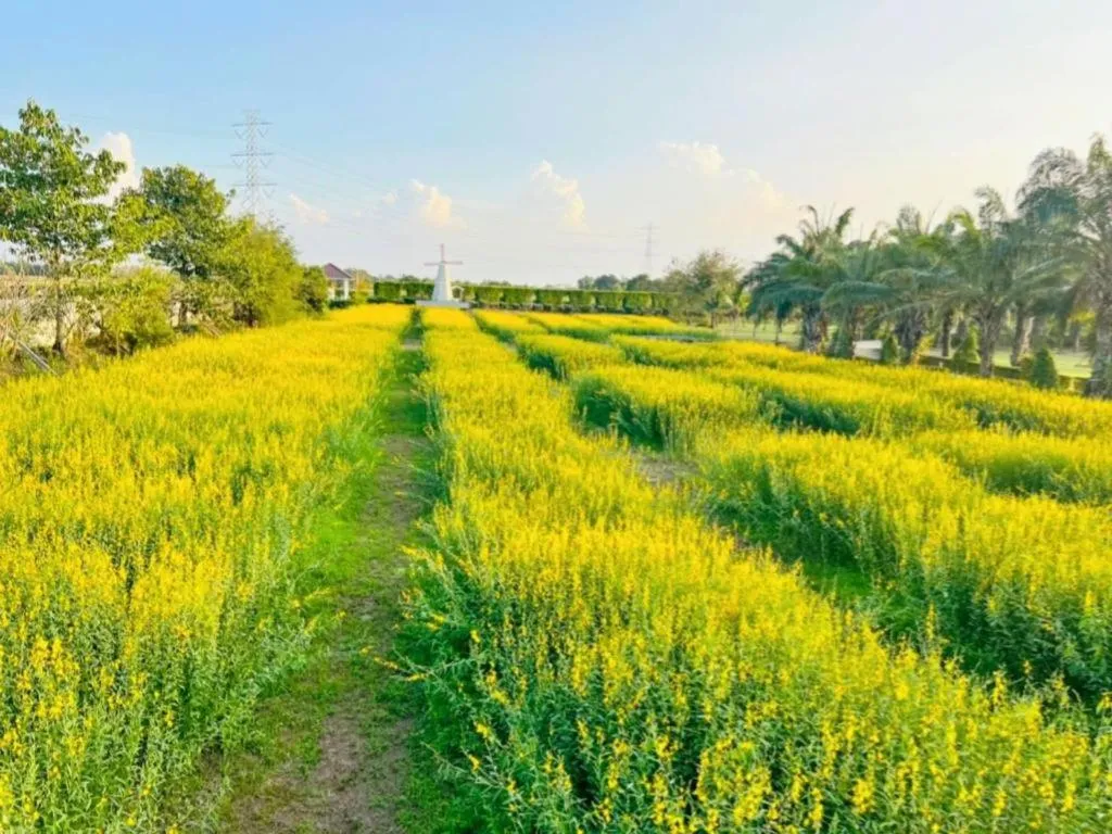 Thaiasia Goldensea Resort