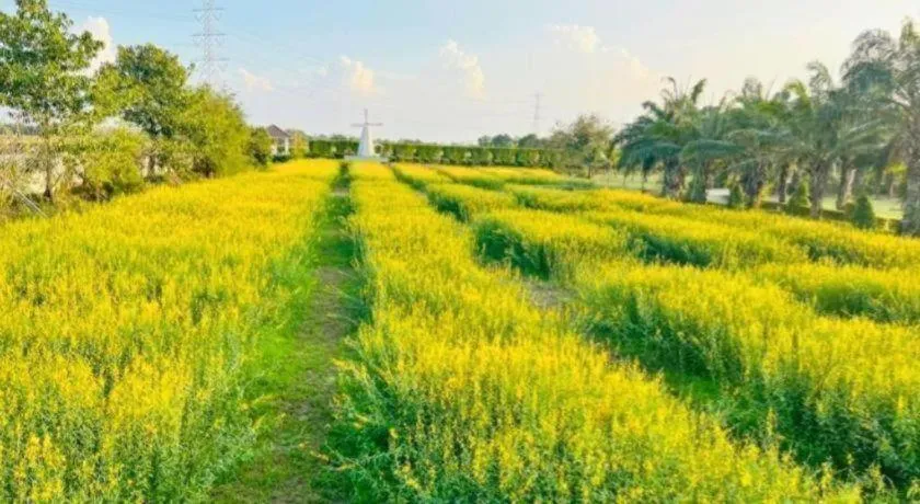 Thaiasia Goldensea Resort