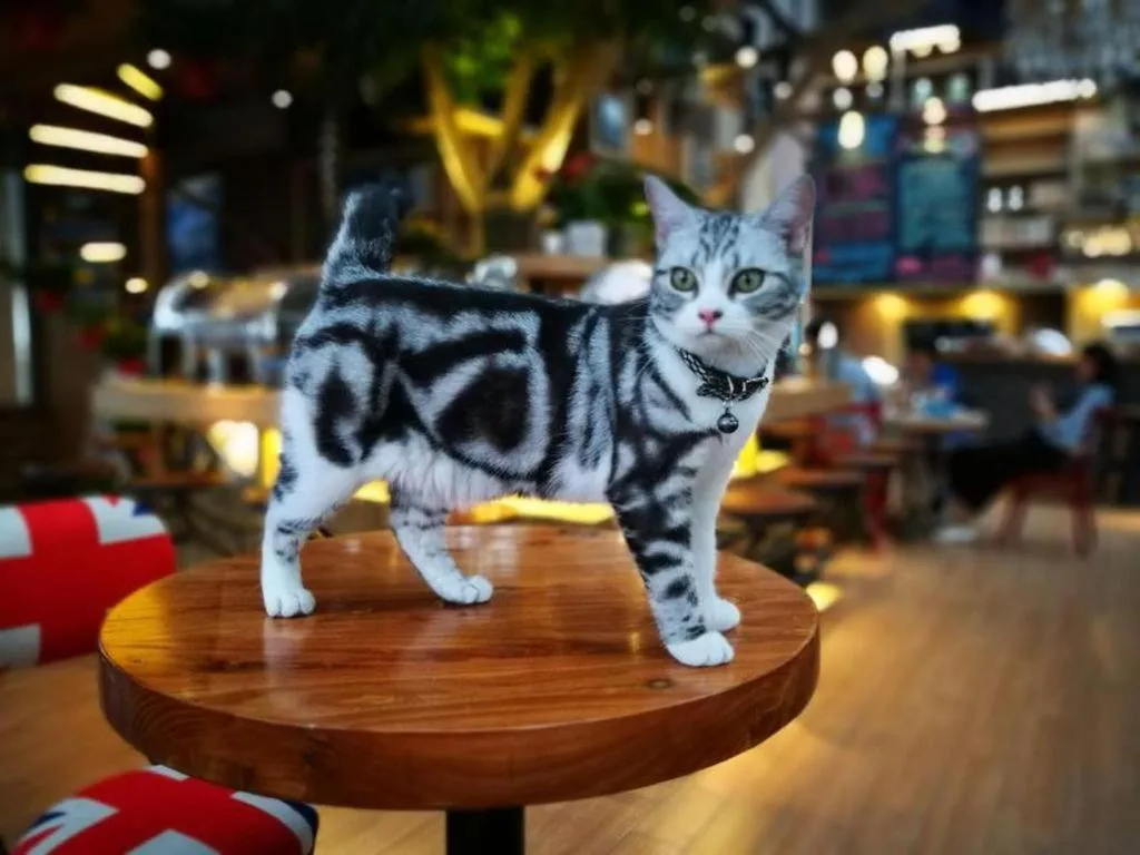 Xi'an Huiya Tianmu Hotel