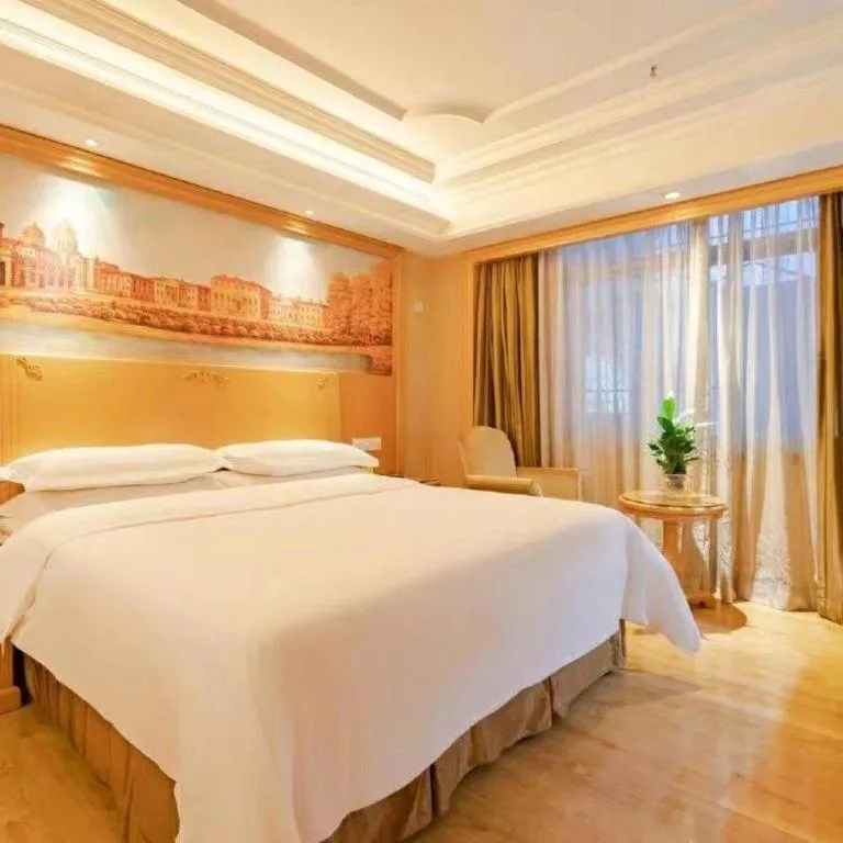 Bed in Vienna International Hotel Lhasa Potala Palace