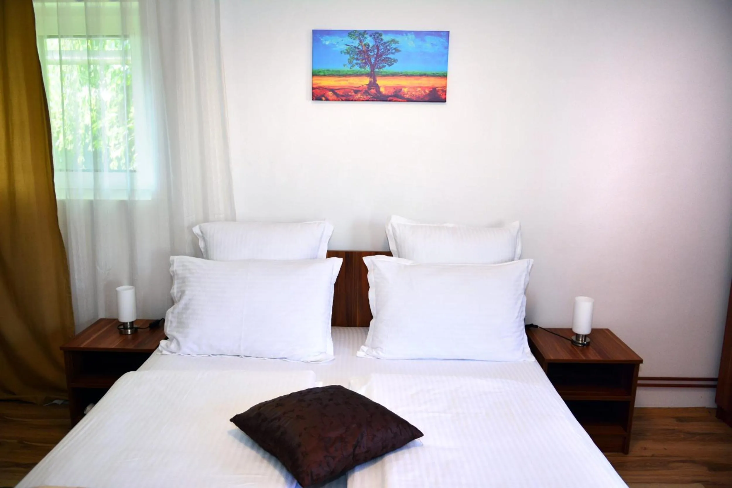 Apartment in Pensiunea Anita