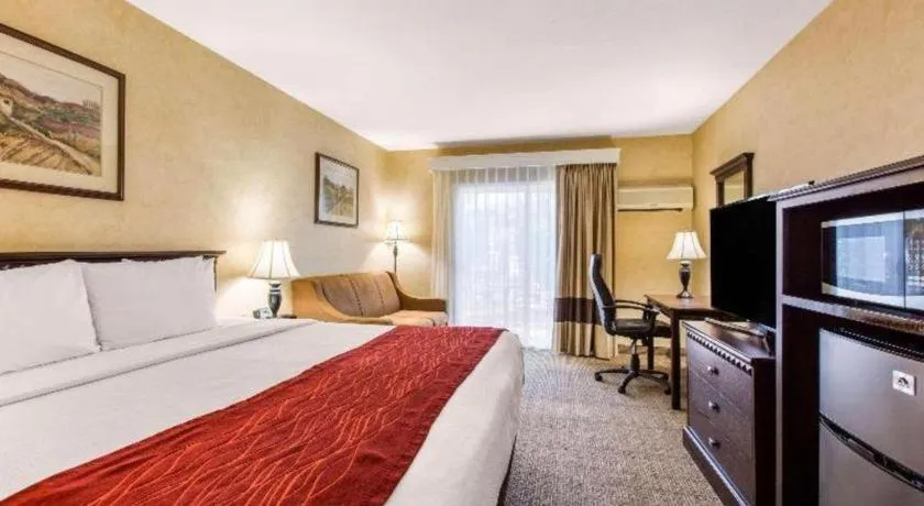 Bed in Comfort Inn Escondido San Diego North County