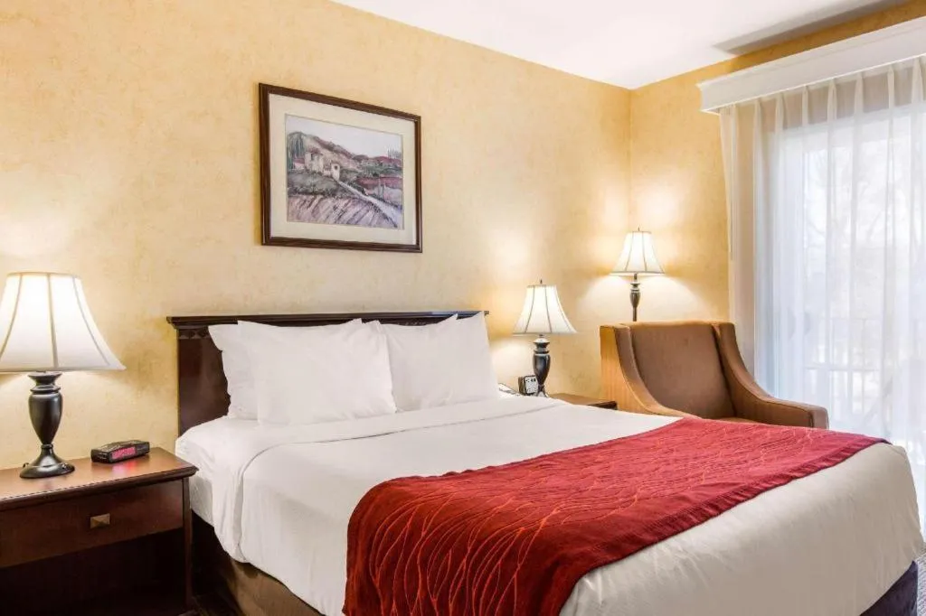 Bed in Comfort Inn Escondido San Diego North County