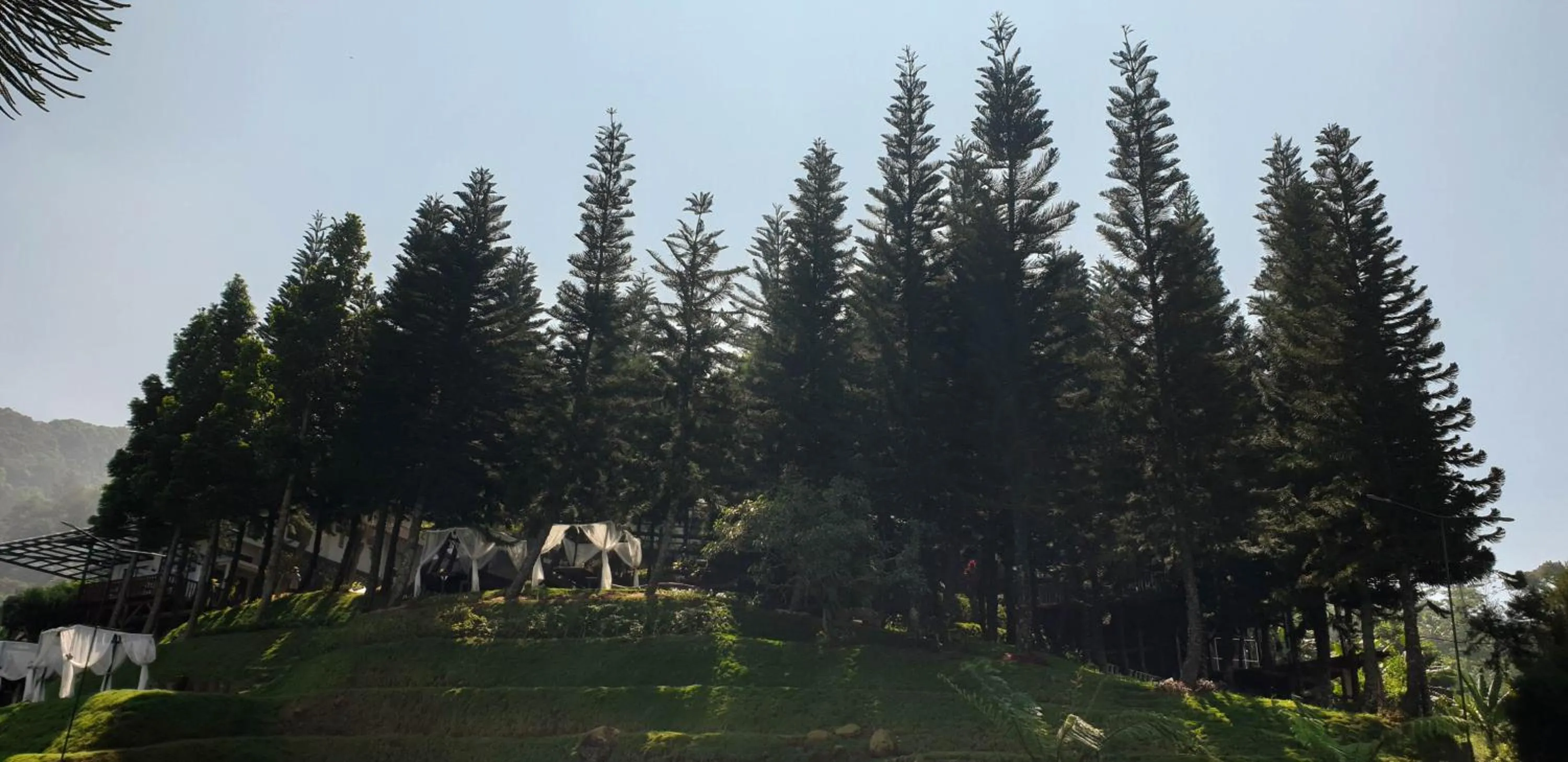 Natural landscape in Damar Langit Resort