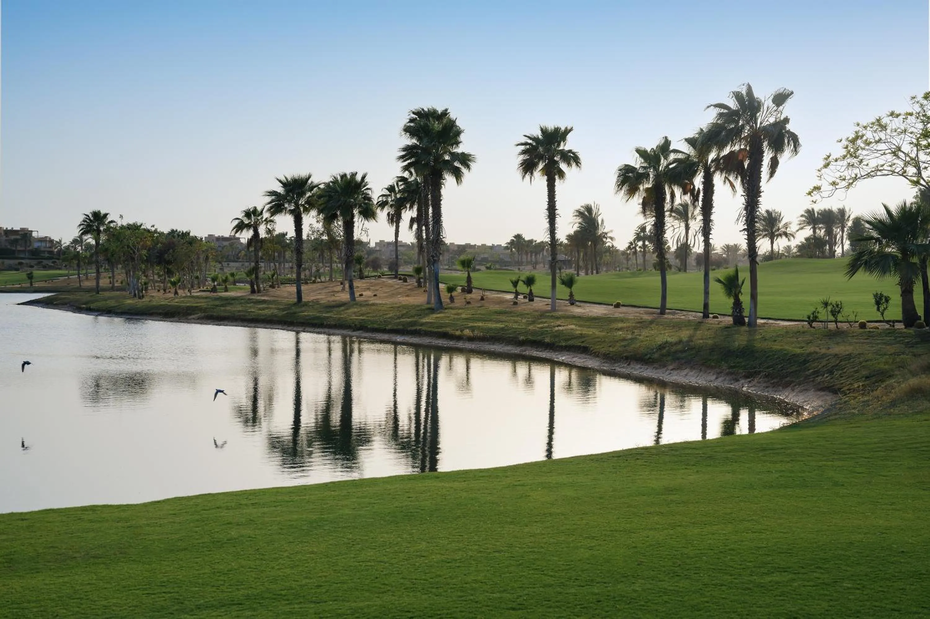 Garden in The G Einbay Golf Resort