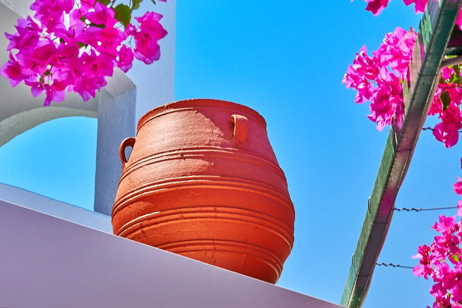Garden in Apollon Hotel Apartments