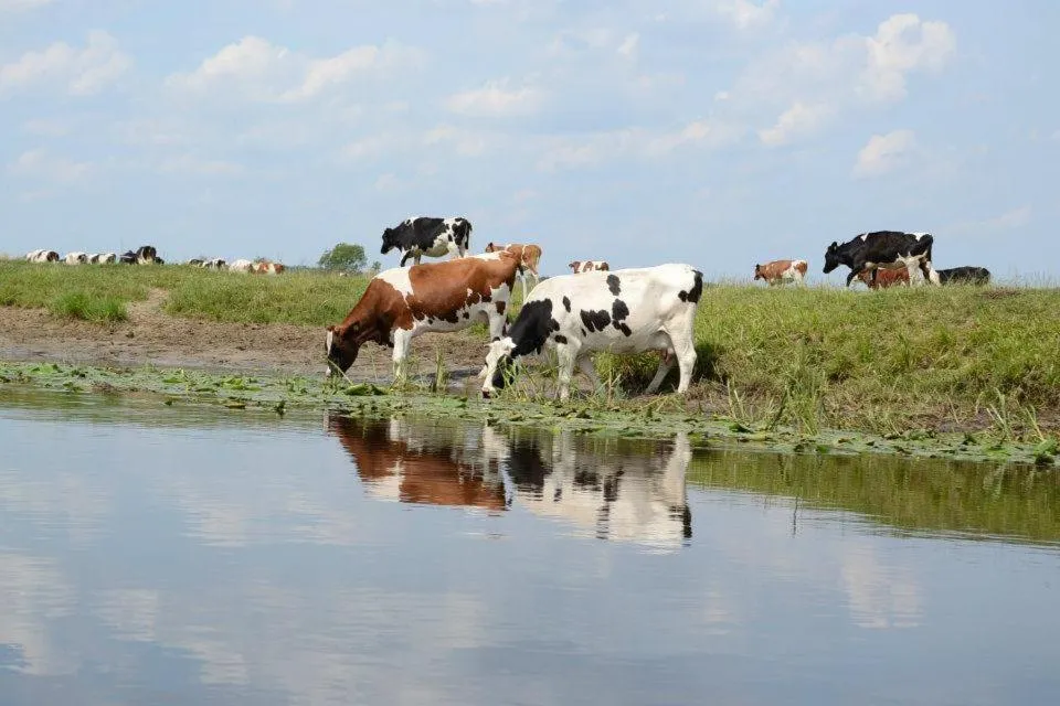 Activities in Kurnik Polski agroturystyka