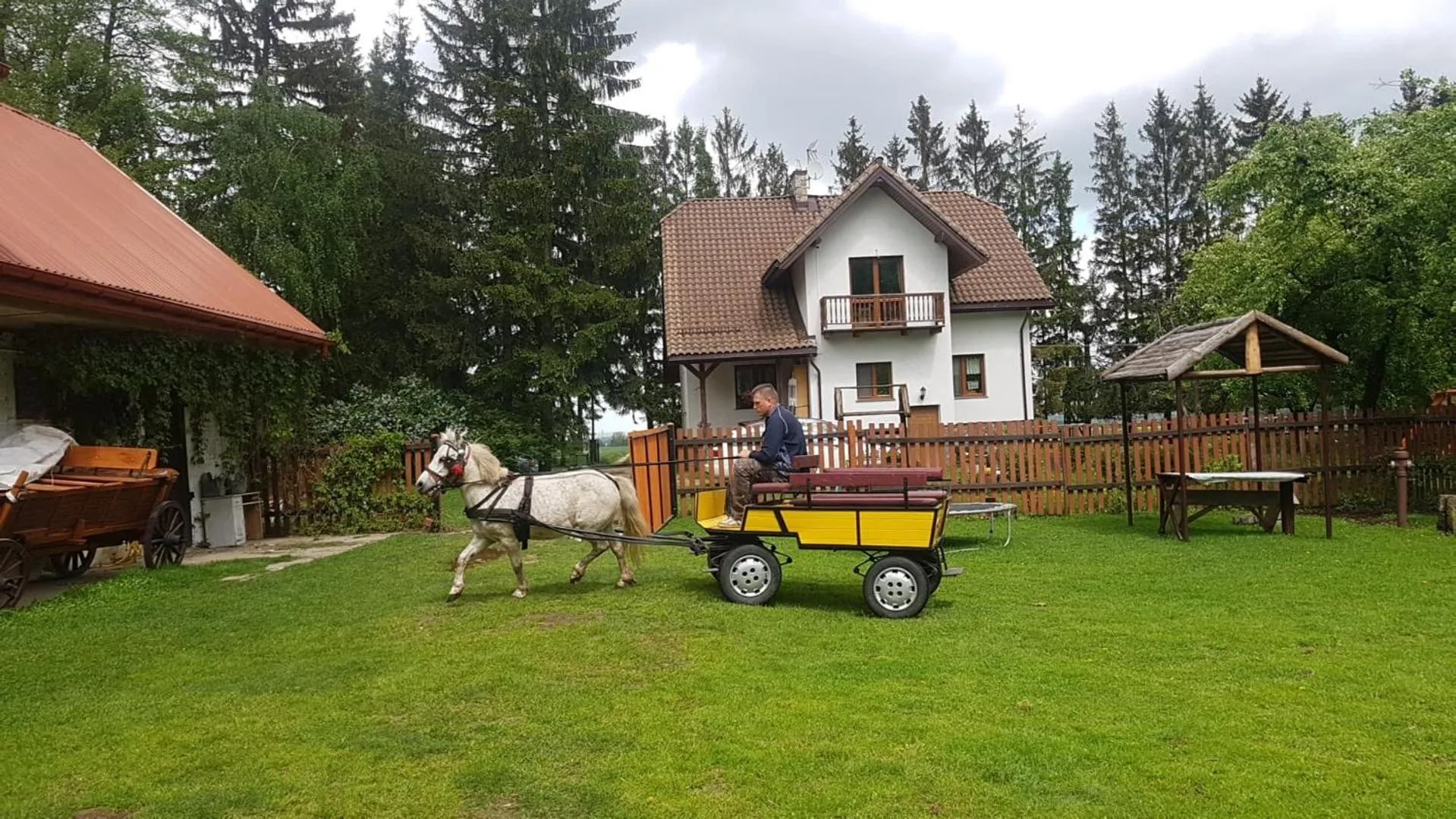 Horse-riding in Kurnik Polski agroturystyka