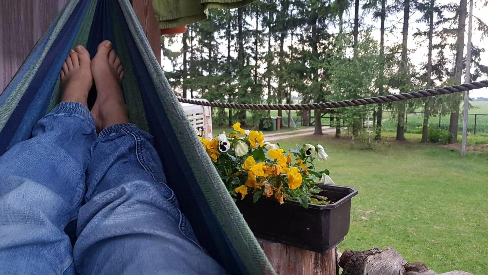 Garden in Kurnik Polski agroturystyka