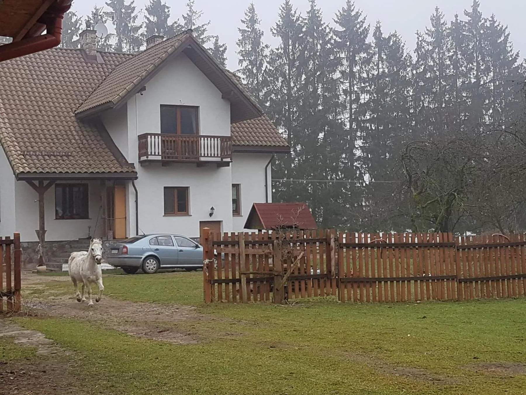 Kurnik Polski agroturystyka